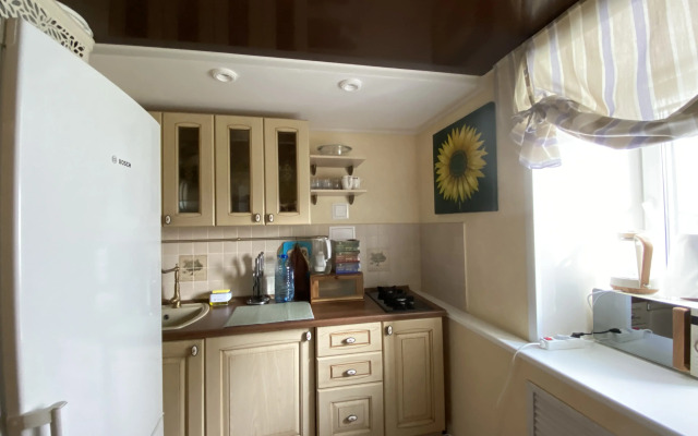 2-kh komnatnye apartamenty Klassik na Naberezhnoy Flat