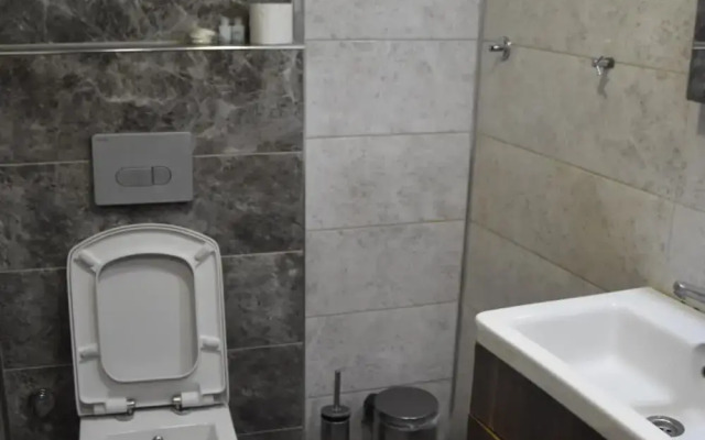 Отель Merkez Otel