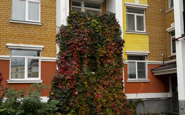 Квартира Лоза центр тишина