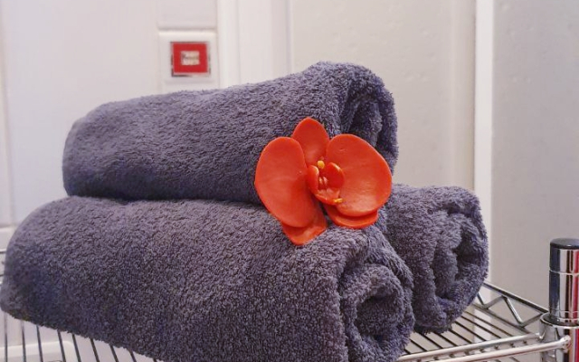 Квартира Уютные в Центре