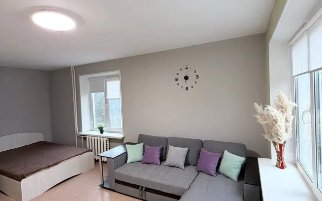 Квартира Светлая 1-ком на Ленина