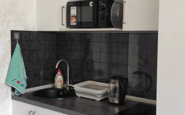 Studiya na prospekte Lenina Apartments