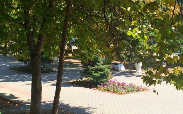 V Tsentre Goroda Apartments