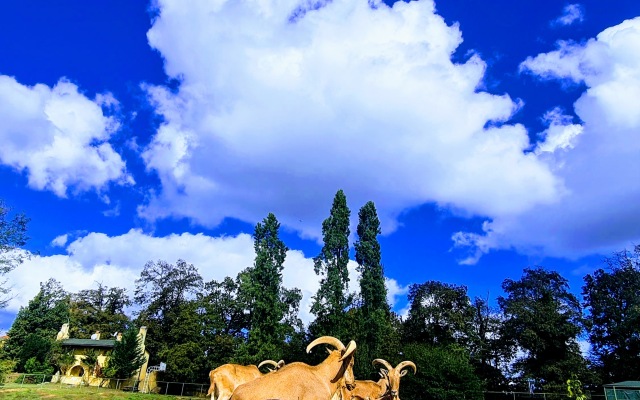 Polonezköy Country Club & Accommodation in the Wildlife Park