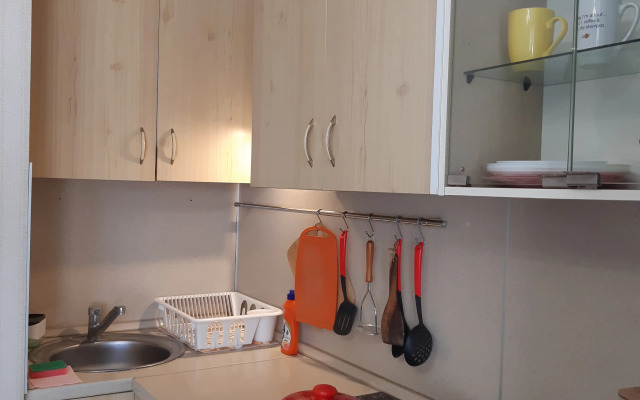 Evrika Na Initsiativnoy Flat