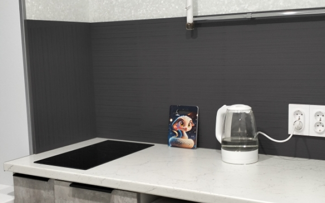 Engelsa 69  1-Komn Flat