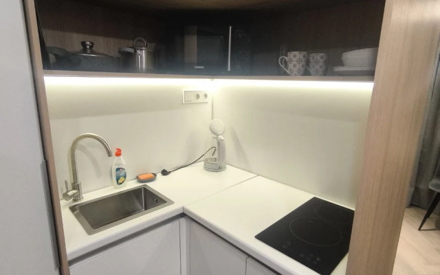 Апартаменты Уютная студия Пушкинской