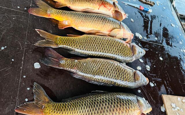 Отель Клевое место