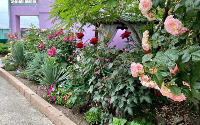 Гостевой Дом Фортуна