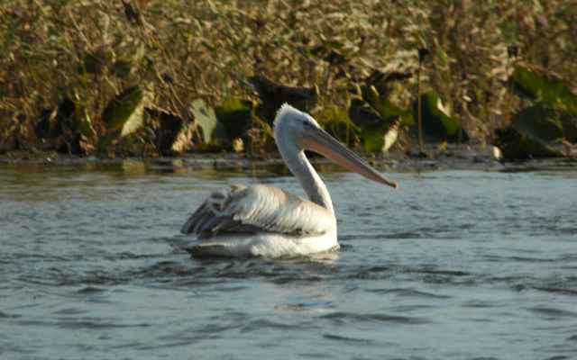 База Отдыха Найт-Флайт Дельта
