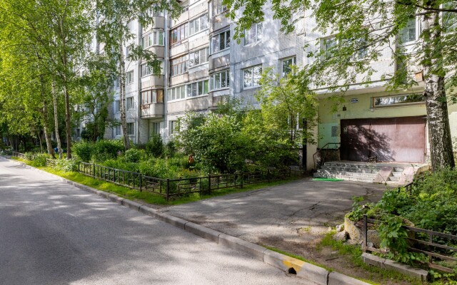 Апартаменты Просторная уютная квартира на Проспекте Просвещения