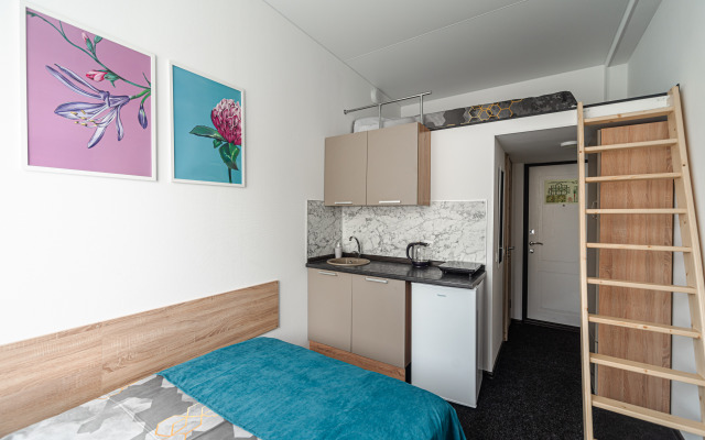 Apartments Nizhny Oranienbaum (310)