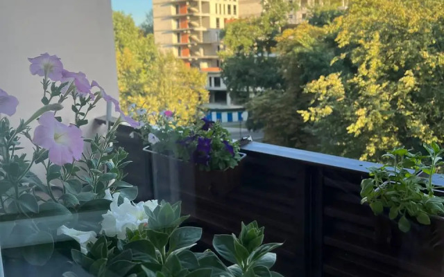 Квартира Самый Центр