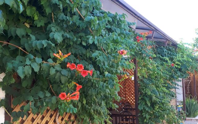 Kantri Guest House