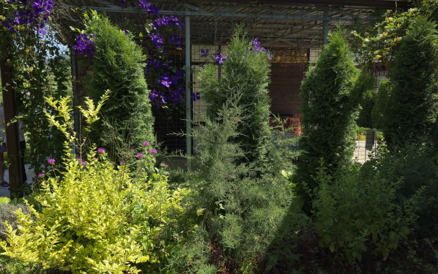 Гостевой дом Удачный, Гузерипль