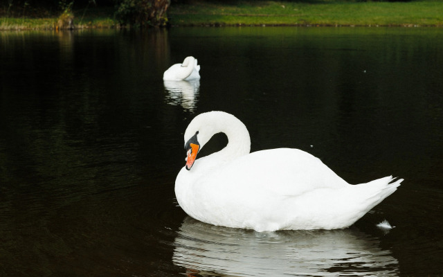 Гостевой дом Шувалофф