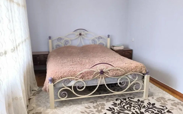 Na Prospekte Lenina 63A Flat
