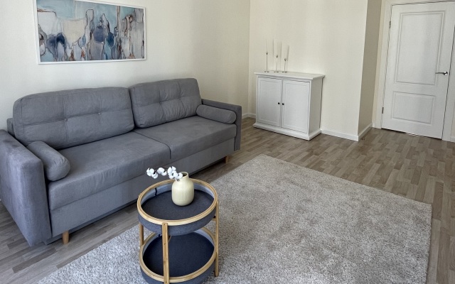 Dvuhkomnatnie S Vidom Na Kurshskuiu Kosu Apartments