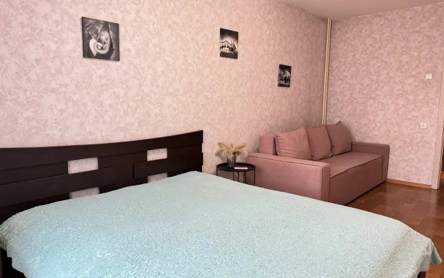 1-Komn. na Partizana Zheleznyaka 61 Flat