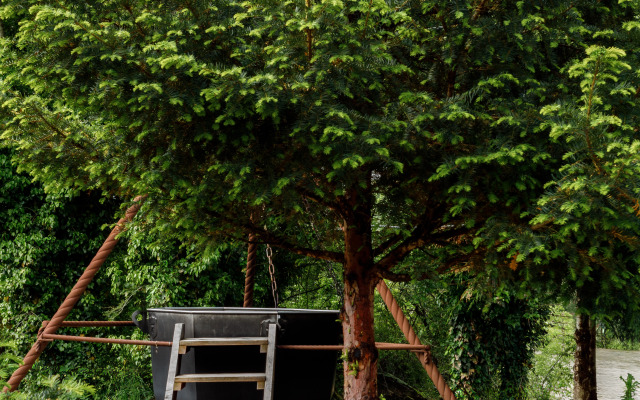 Отель Графская Поляна