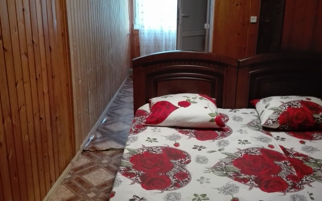 Anzhelika Guest House