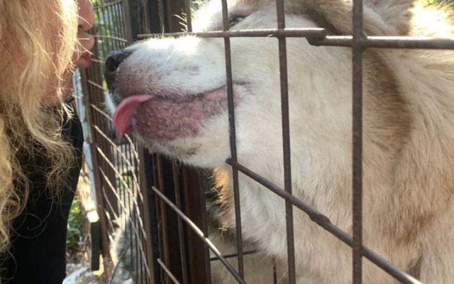 База отдыха Лопский берег