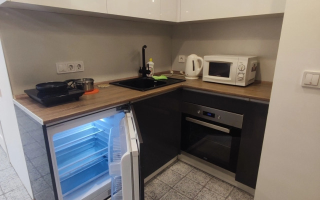 Studiya v tsentre goroda Flat