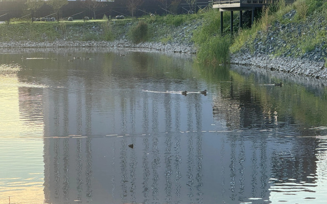 Квартира Апартаменты на Новгородской 22