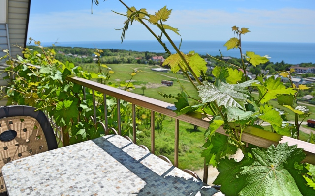 Skazka Guest house
