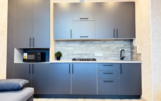 Like Home na Zemnukhova 2 Apartments