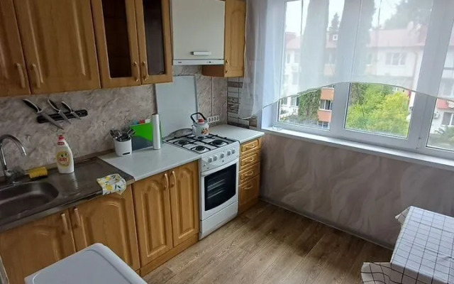 Na Vorovskogo 53 Flat