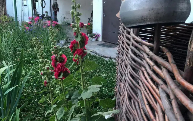 Rostov Kazachiy Guest house