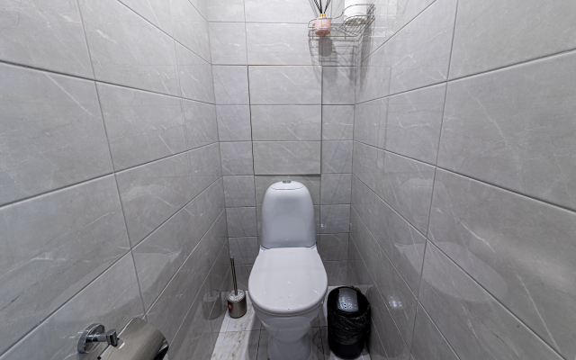 Vintazhnaya kvartira vozle metro Flat