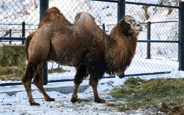 Отель Карым-Муны