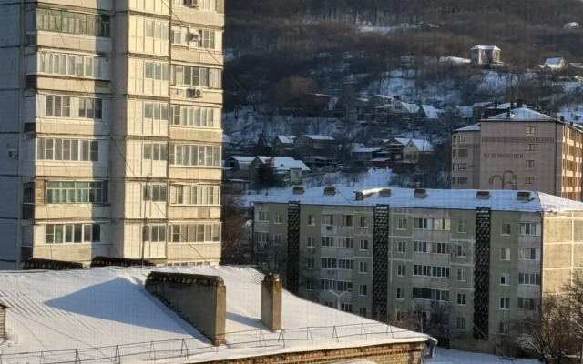 Stilnaya V Elitnom Dome Flat