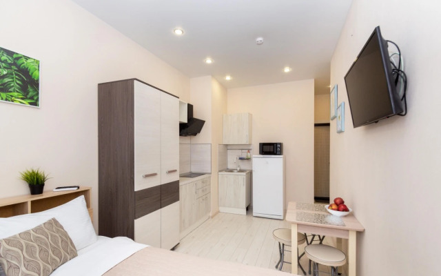 Mini-studiya v Centre s Kuhnej, Dushem i Bolshim Oknom Apartments