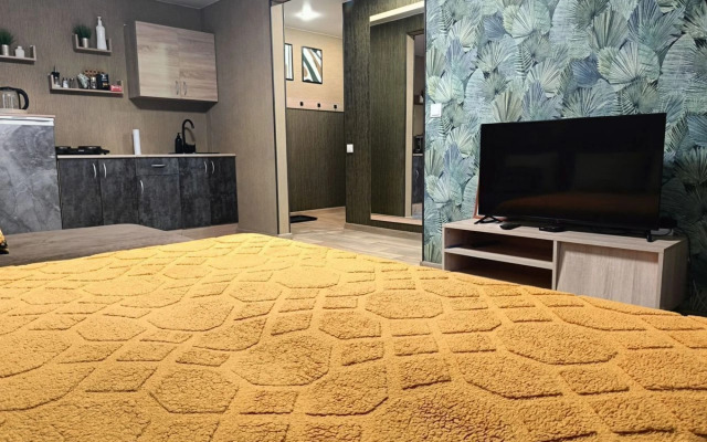 Квартира на Улице Шорникова 1А