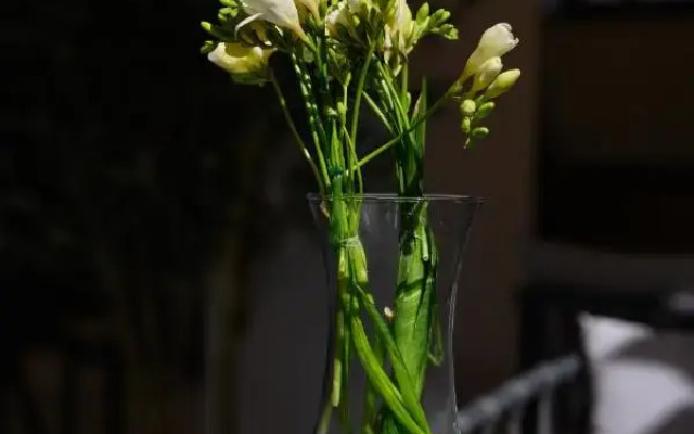 Aristo Boutique Hotel