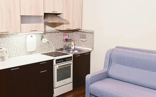 Na Vasileostrovskoy Flat