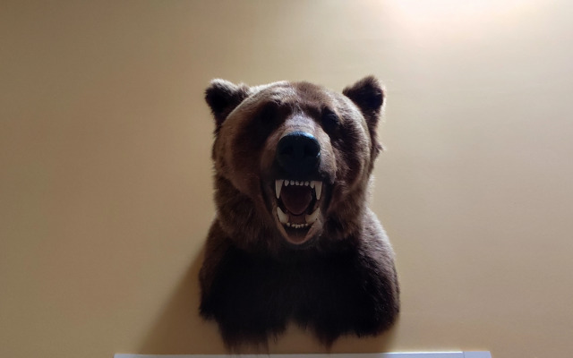 База Отдыха Целебные Кудесы