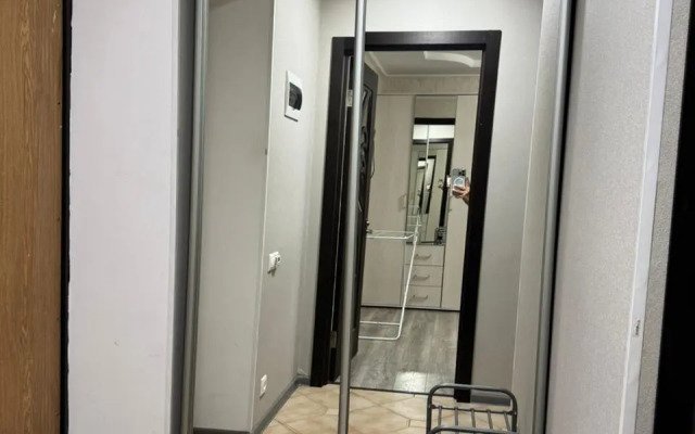 Odnokomnatnye Apartamenty Milana Flat
