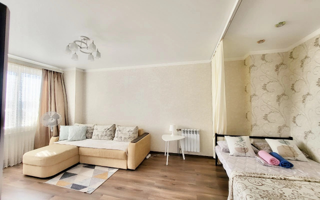 Апартаменты Большая однокомнатная