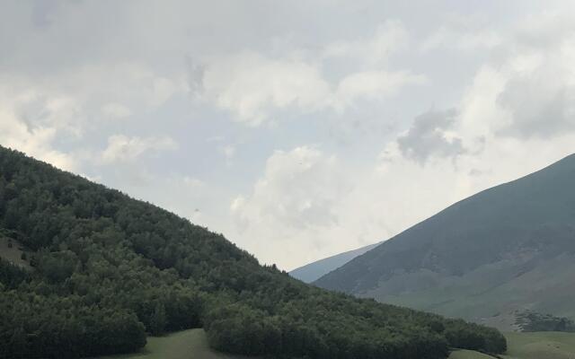 Sky Yurts Camping