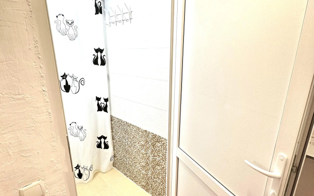 Апартаменты Уютная студия в частном секторе