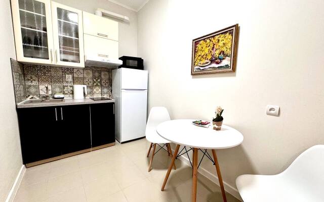 Studiya v Tsentre goroda Flat