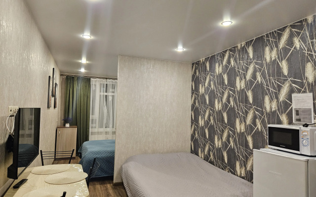 Uluchshennaya Studiya U Metro Parnas Flat