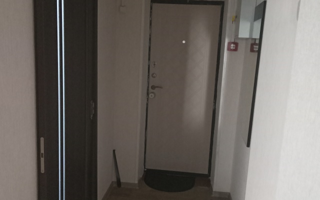 Квартира Однокомнатная Apart Sharing Рылеева 8