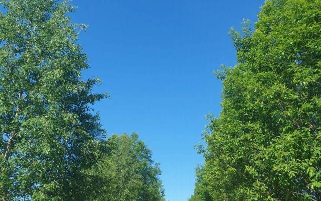 Частный дом Уютный на Cелигере