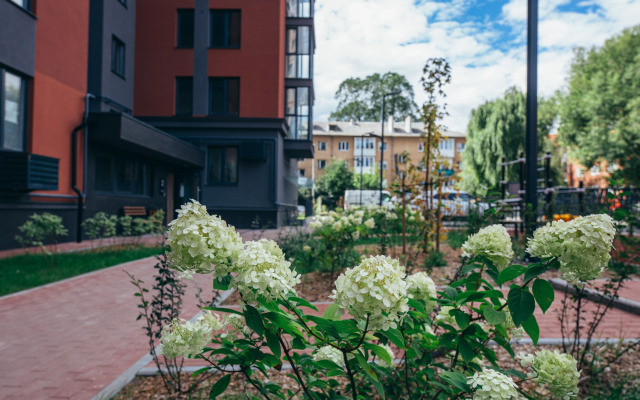 Квартира Золотые дни Калининград