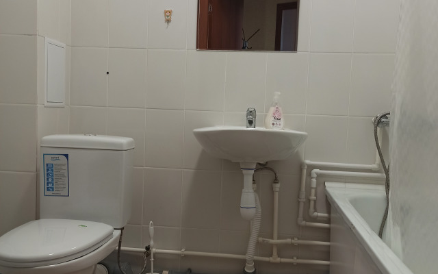 Квартира с видом на пойму реки Царица